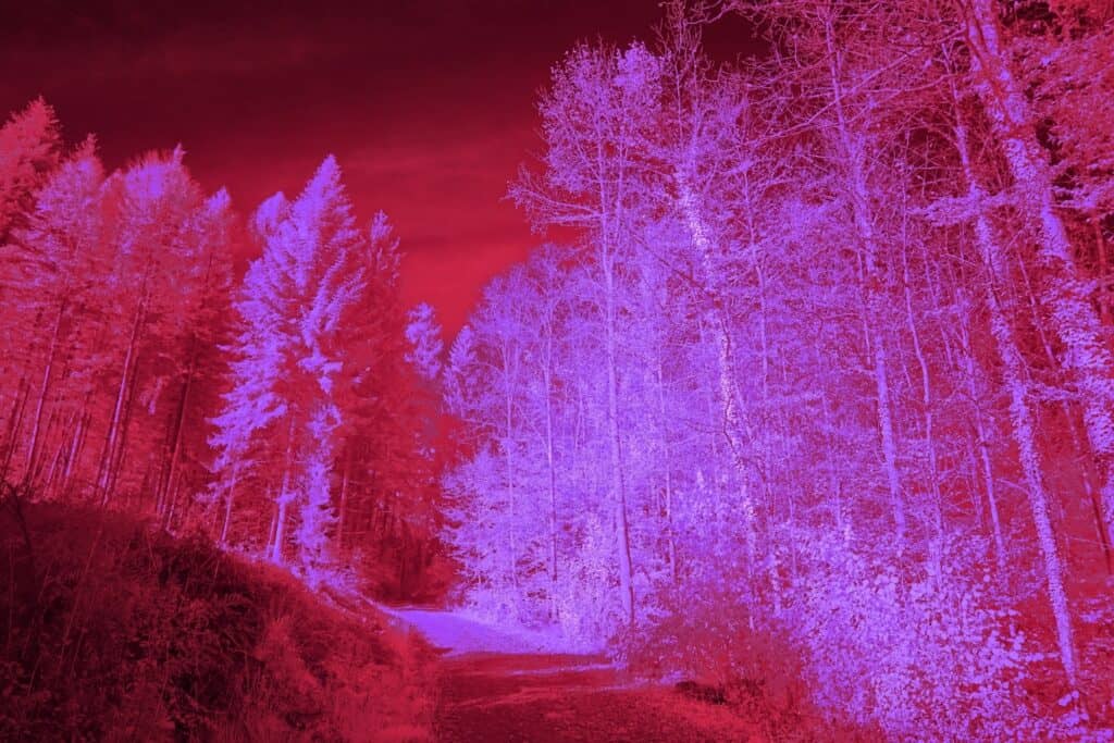 Lichttherapie in een bos met roze en paarse tinten voor welzijn en ontspanning.