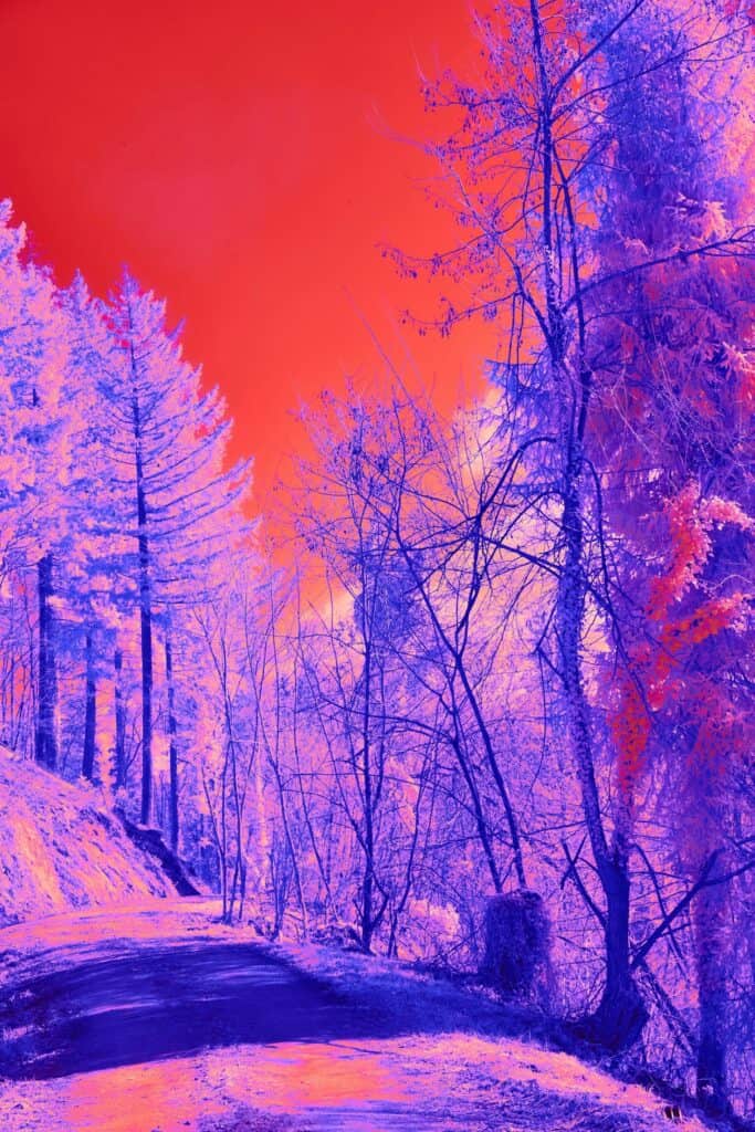 Infrared landschap met bomen en weg in levendige kleuren.
